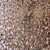 V kaštanech Anděl 2013, olej na plátně, 100 x 150 cm